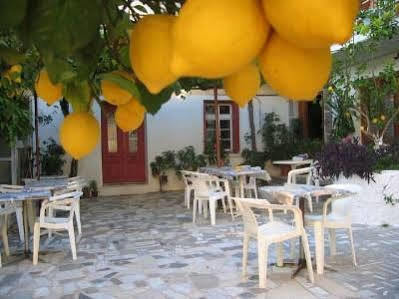 Apartmán Lemon House Kokkari Exteriér fotografie